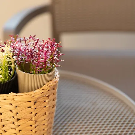 Glamorous, Renovated 3-bedroom In * ניקוסיה